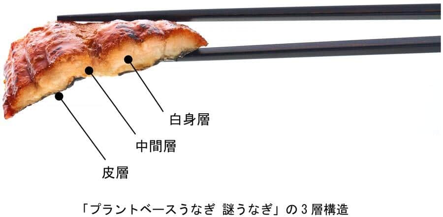 「謎うなぎ」の3層構造（プレスリリースより）