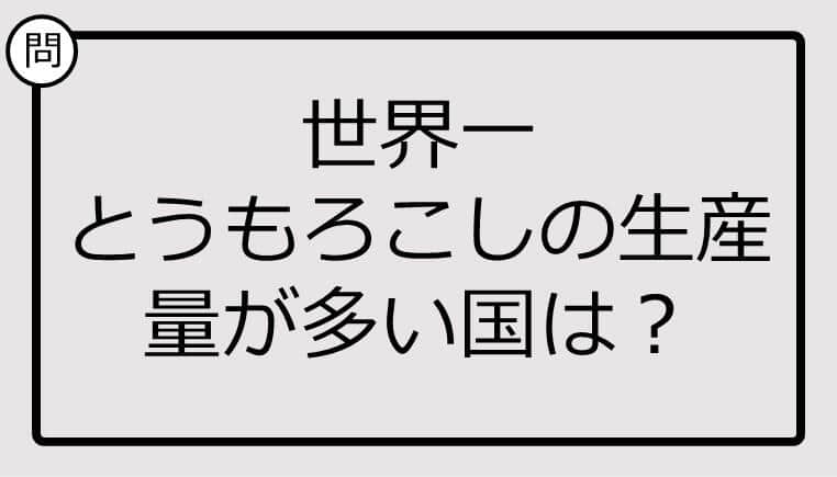 【クイズ】世界一とうもろこしの生産量が多い国は？