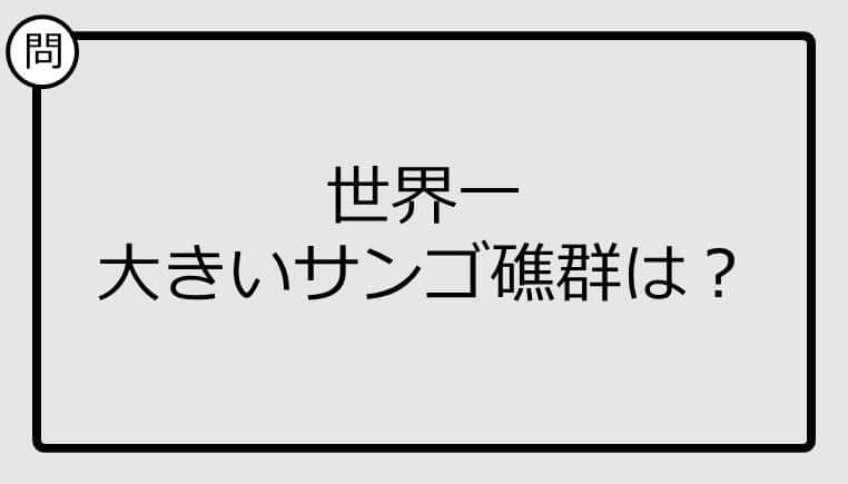 【クイズ】世界一大きいサンゴ礁群は？