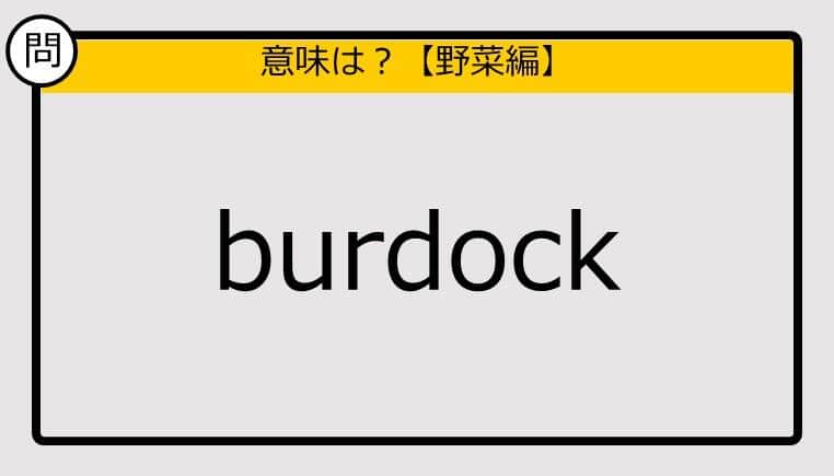 【この英単語の意味は？】burdock