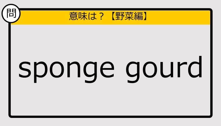 【この英単語の意味は？】sponge gourd