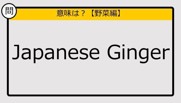 【この英単語の意味は？】Japanese Ginger