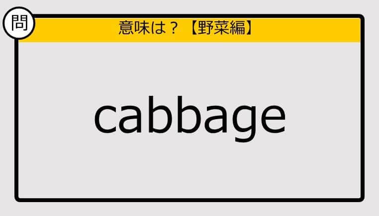 【この英単語の意味は？】cabbage