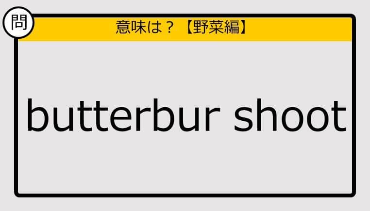 【この英単語の意味は？】butterbur shoot