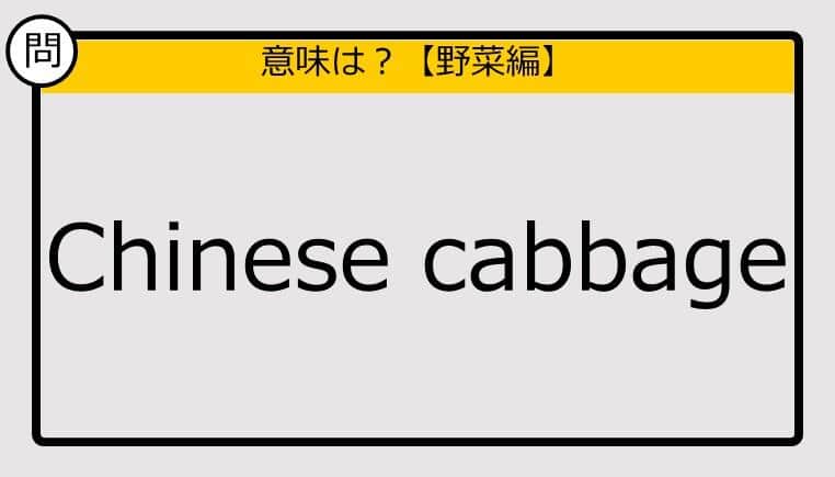 【この英単語の意味は？】Chinese cabbage