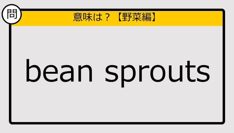 【この英単語の意味は？】bean sprouts