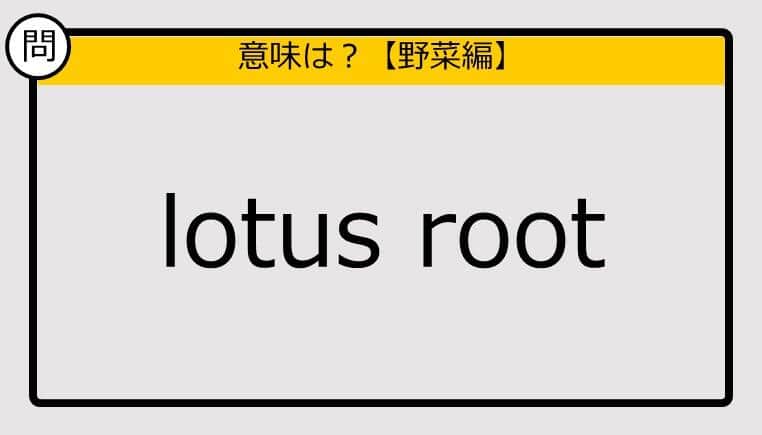 【この英単語の意味は？】lotus root