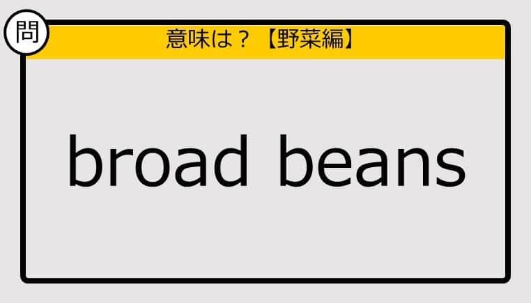 【この英単語の意味は？】broad beans