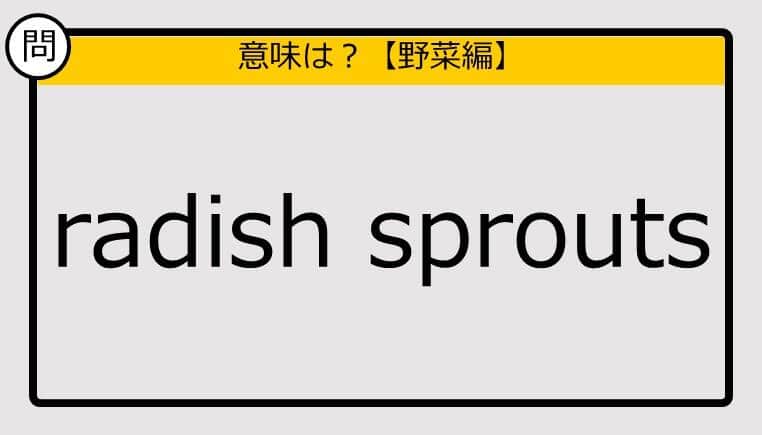 【この英単語の意味は？】radish sprouts