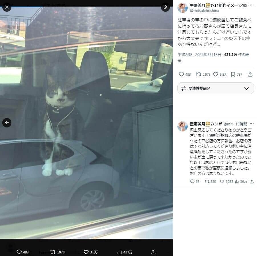 炎天下の車内に猫放置→飼い主は食事　発見したグラドルが怒りの通報「あり得ないんだけど」