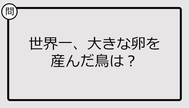 【クイズ】世界一大きな卵を産んだ鳥は？