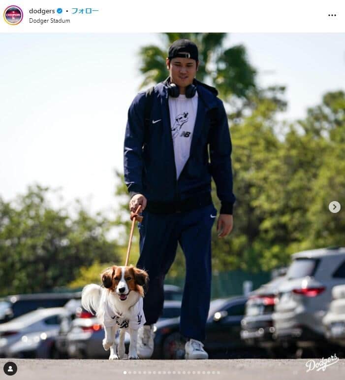 大谷翔平の愛犬デコピン、ドジャースユニで球場入り　「大スターの風格が出てきた」「ますますイケメン犬に」