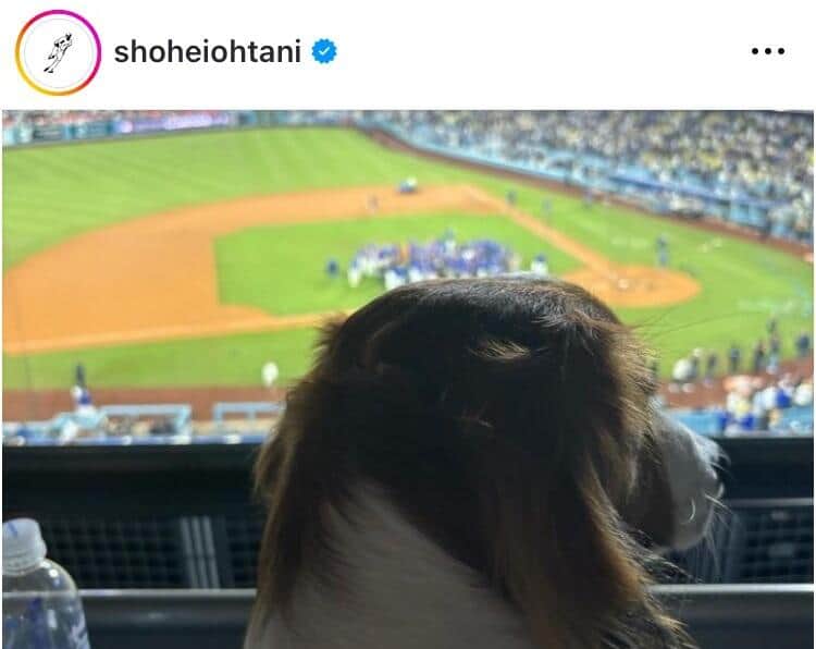 大谷翔平選手のインスタグラム（＠shoheiohtani）より