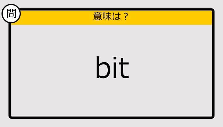 【大人の英語テスト】bit《この単語の意味は？》