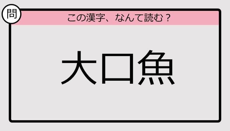 【いきなり漢字テスト】「大口魚」ってなんて読む？《難読漢字クイズ》