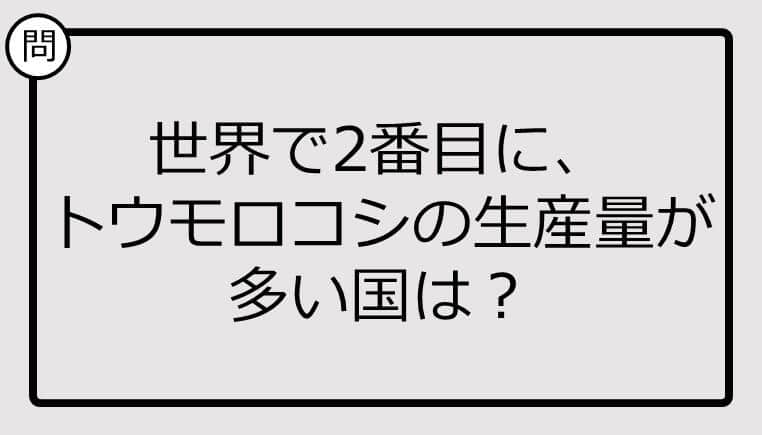 世界で2番目に、トウモロコシの生産量が多い国、知ってる？【クイズ】