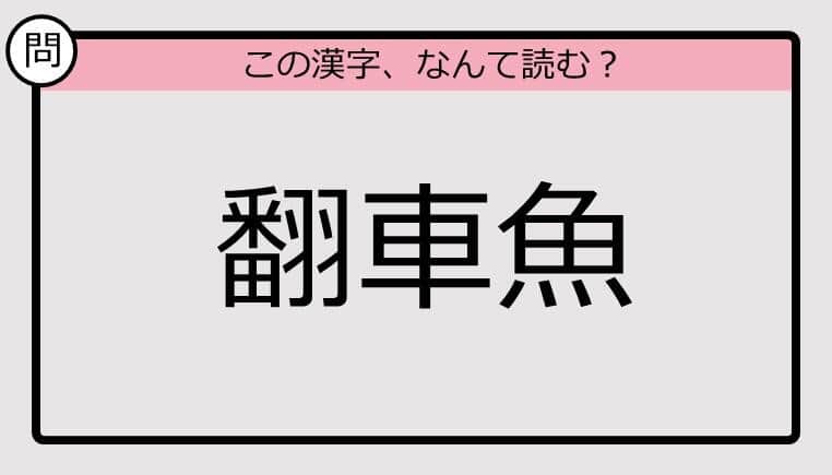 【いきなり漢字テスト】「翻車魚」ってなんて読む？《難読漢字クイズ》