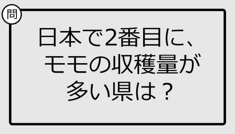 知ってる？日本で2番目にモモの収穫量が多い県は...【雑学クイズ】