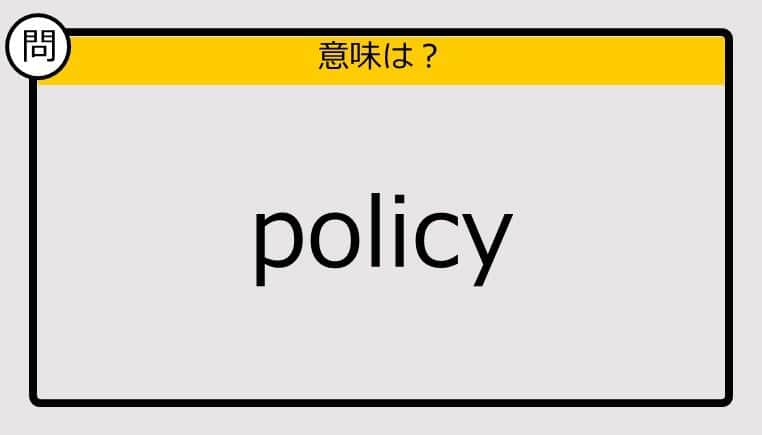 【大人の英語テスト】policy《この単語の意味は？》