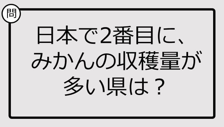 知ってる？日本で2番目に、みかんの収穫量が多い県は...【雑学クイズ】