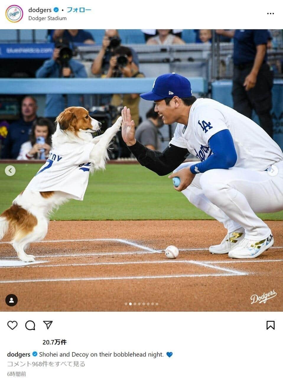 大谷選手とともに始球式を行ったデコピン（8月29日。ドジャースのインスタグラム（＠dodgers）より）