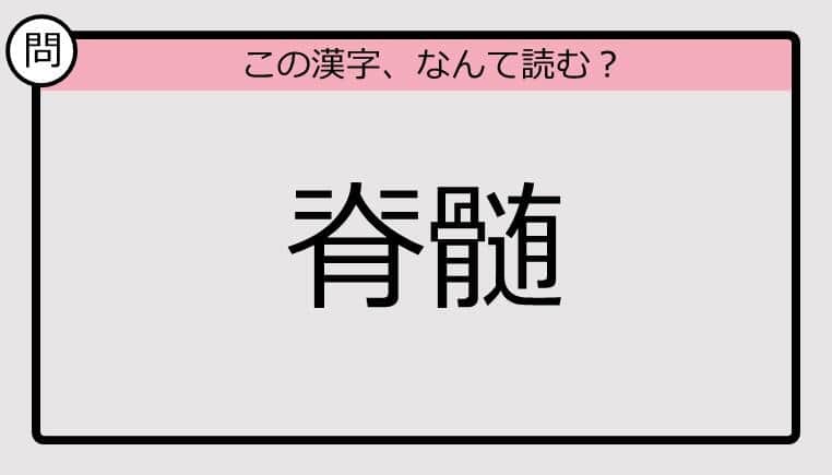 【いきなり漢字テスト】「脊髄」ってなんて読む？《難読漢字クイズ》