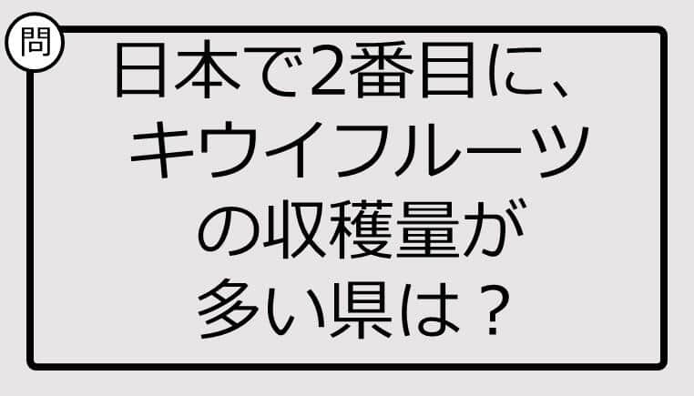 知ってる？日本で2番目に、キウイフルーツの収穫量が多い県は...【雑学クイズ】