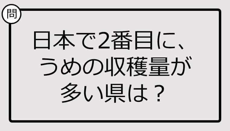 知ってる？日本で2番目に、うめの収穫量が多い県は...【雑学クイズ】