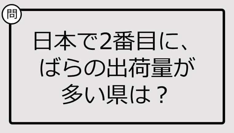 知ってる？日本で2番目に、ばらの出荷量が多い県は...【雑学クイズ】