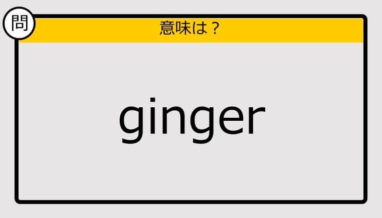 【大人の英語テスト】ginger《この単語の意味は？》