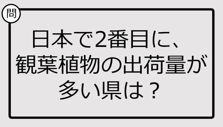 日本で2番目に、観葉植物の出荷量が多い県は？【雑学クイズ】 