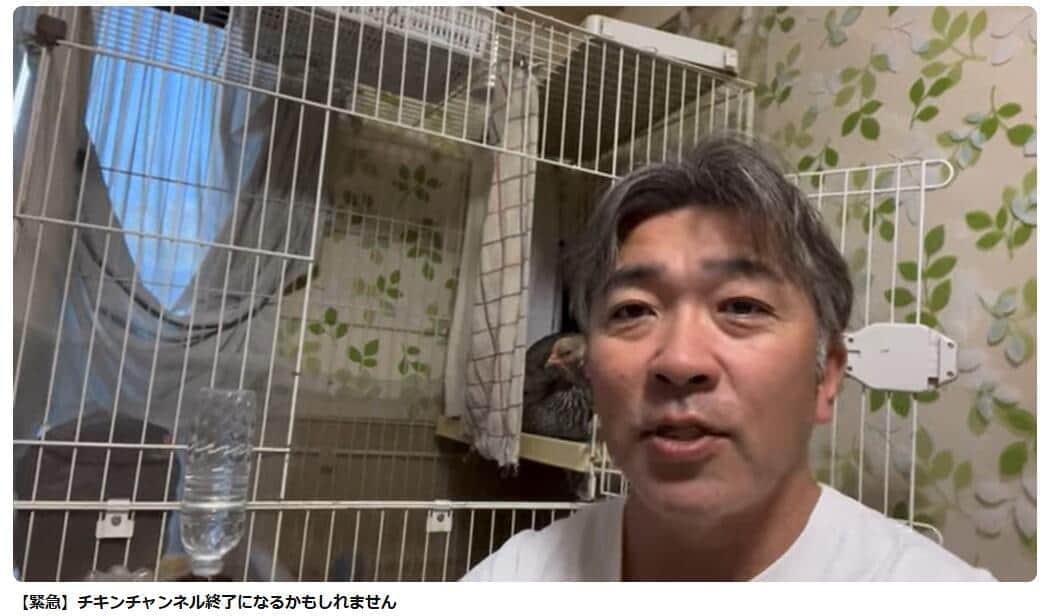 ニワトリ飼育YouTuber、収益化無効に「納得がいかない」　「暴力的で刺激の強いコンテンツ」と判断される