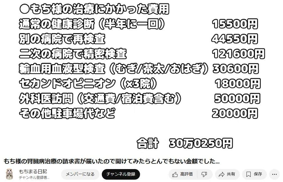 検査などで30万円以上かかったという（「もちまる日記」の動画より）