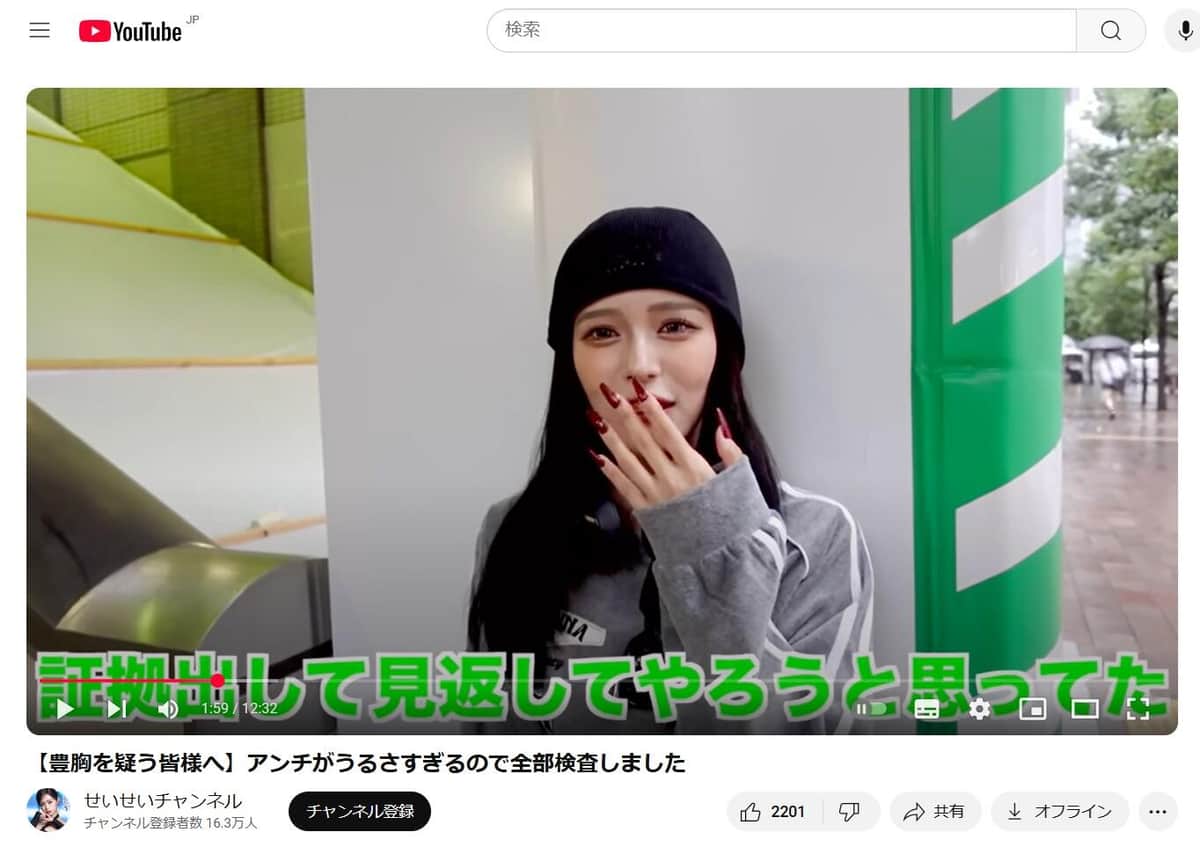 YouTubeチャンネル「せいせいチャンネル」より