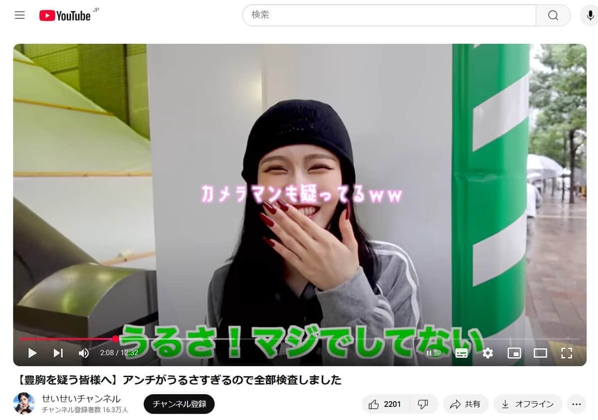 YouTubeチャンネル「せいせいチャンネル」より