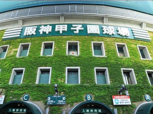 元「いいとも青年隊」双子兄、17歳息子が甲子園立つ　「涙が止まりませんでした！！」センバツ開会式で喜び