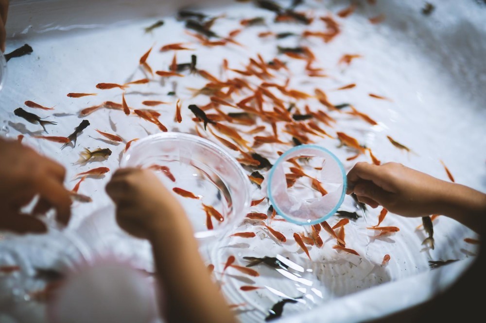 金魚の死骸30匹 嘔吐物まで娘に食べさせる 猟奇的虐待 母親報道に こんな地獄絵図って との声続々 J Cast ニュース 全文表示