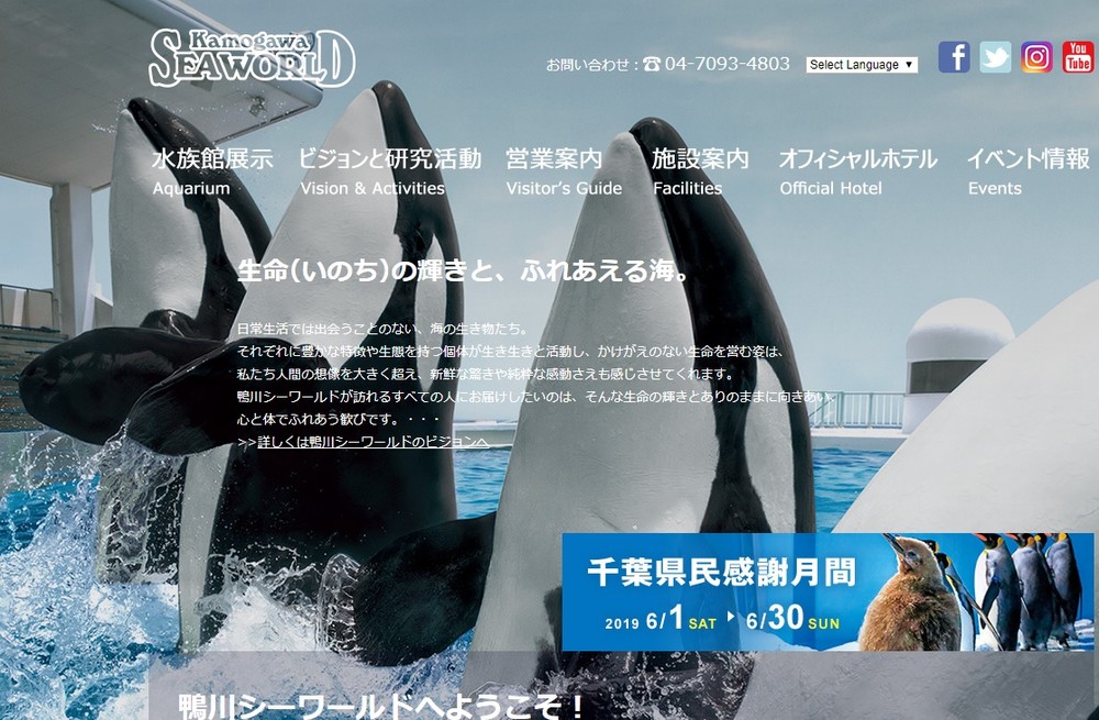 あなたの 場所取り が シャチたちを危険にさらしているかも 水族館のショーで ポンチョなどの放置がngな理由 J Cast ニュース 全文表示