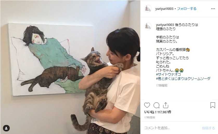 理想の猫 にゃー 現実の猫 シャー 石田ゆり子インスタの落差がすごい J Cast ニュース