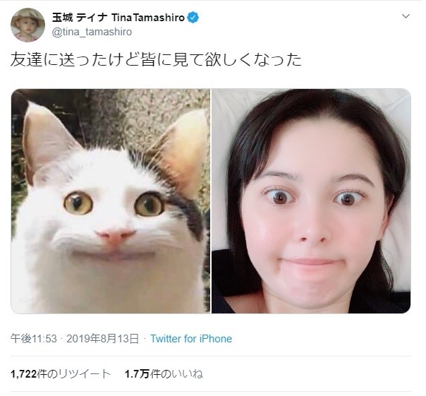 玉城ティナ ネットで話題の 猫写真 を完コピ もう分からない J Cast ニュース