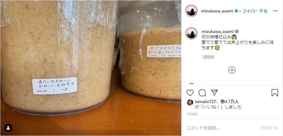 水川あさみ 味噌など調味料も 手作り 高すぎる調理スキルに 健康そうですごい 食べたい J Cast ニュース