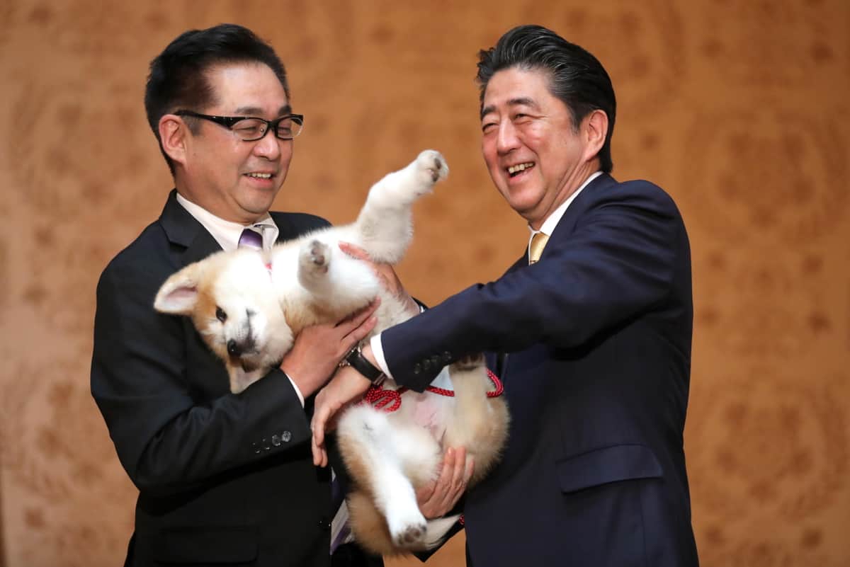 維新議員 ペット同伴 で選挙中継に 当確インタビューも 犬が可愛すぎて話が入って来なかった J Cast ニュース 全文表示