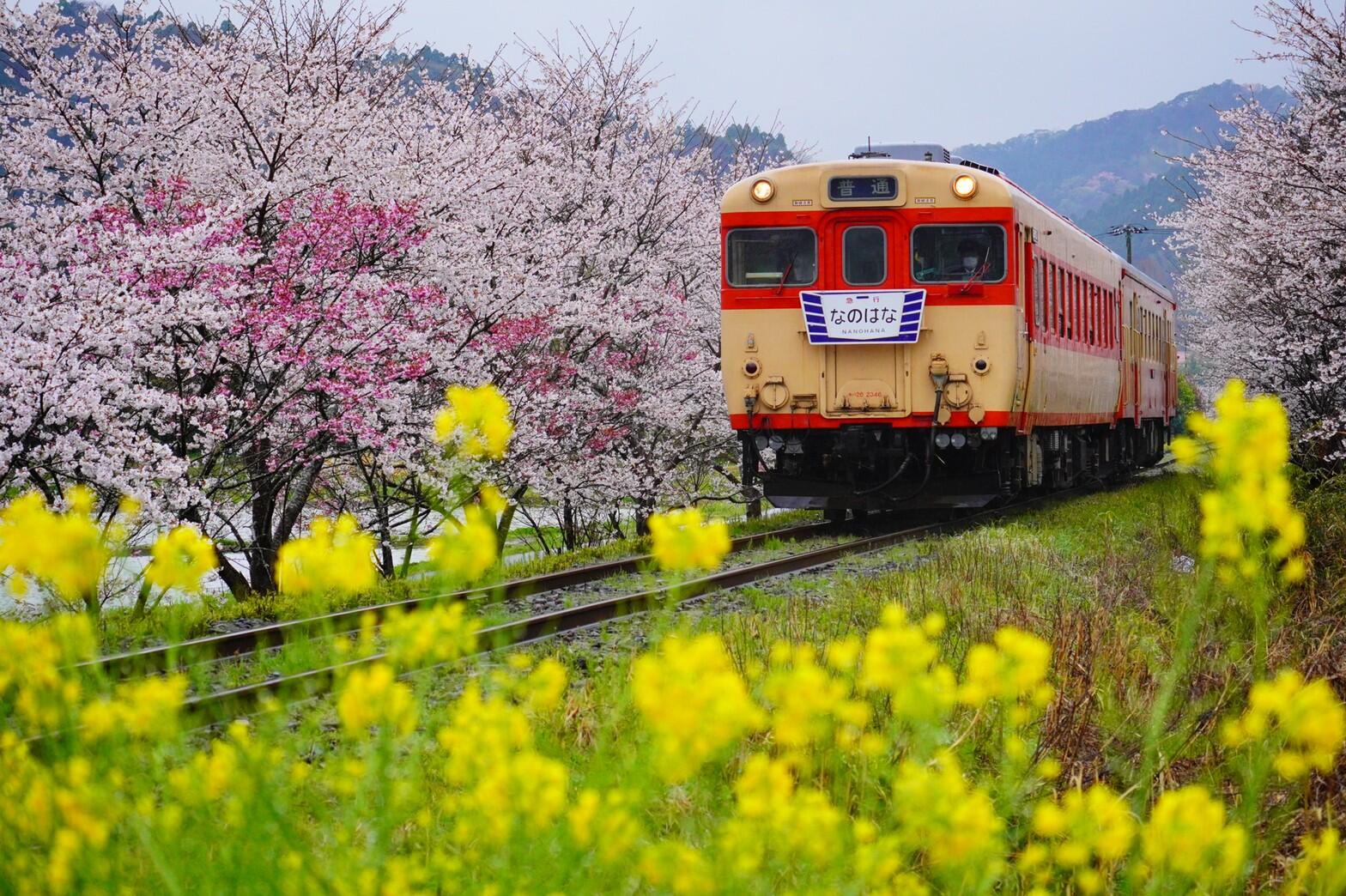 キッザニア 横浜