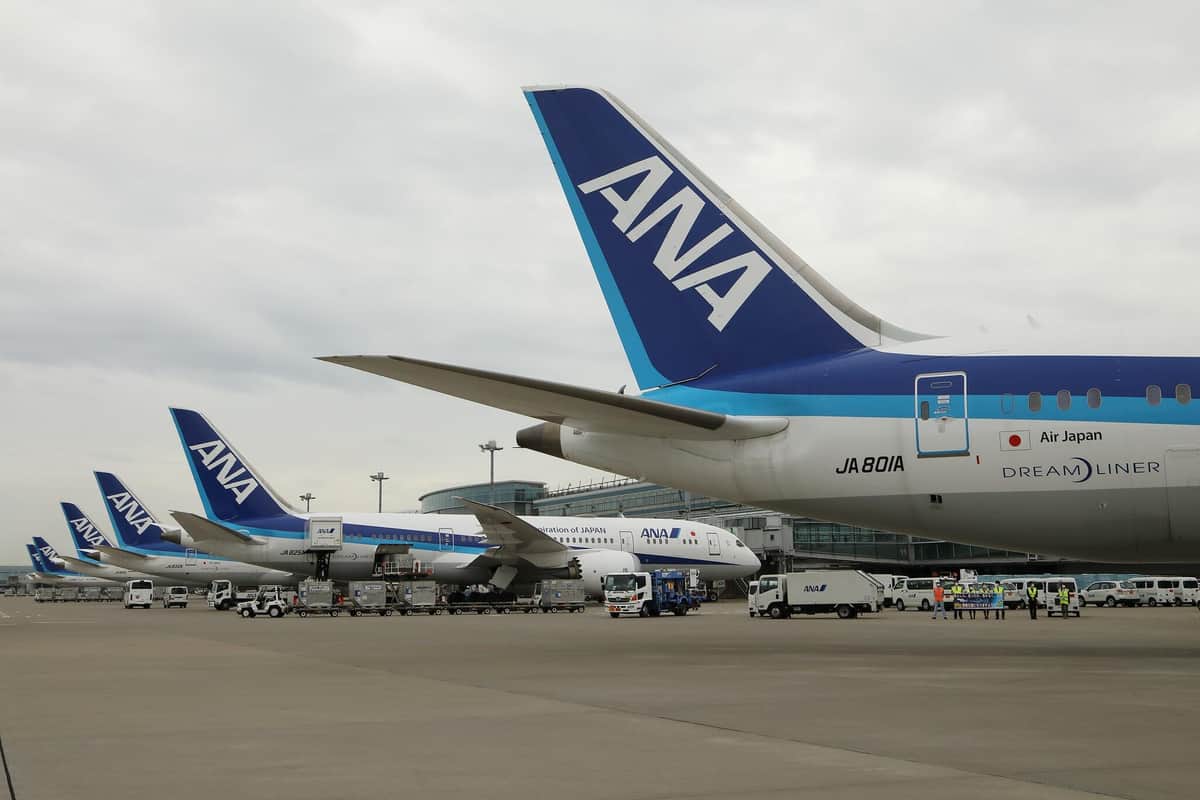 ANA HD、2025年度には旅客数「コロナ前並み」に 飛行機の数は2030年度に「コロナ前以上」へ JCAST ニュース【全文表示】