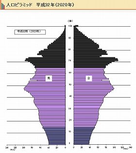 日本の2020年人口ピラミッド（総務省統計局サイトから）