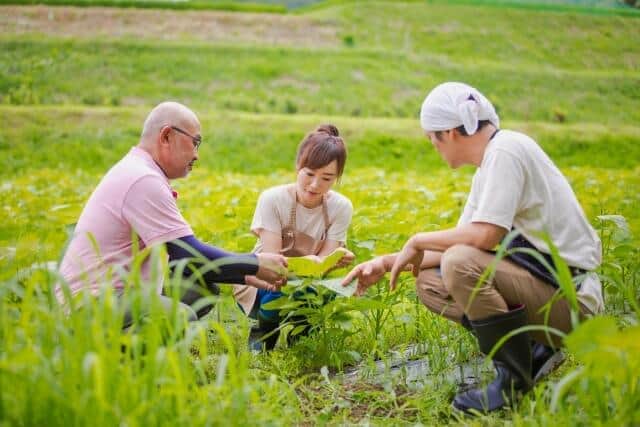 「地方暮らし」関心ある若者49.3％　人気の移住先「北海道」「沖縄県」「長野県」　都心近くがランクイン...未経験の移住に不安あるから？