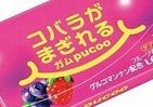 「へったコバラを紛らわす」ガムが新味で再登場　ロッテ「プクー」