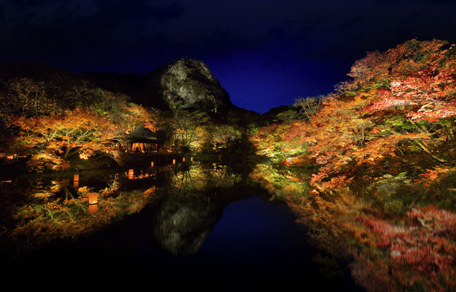 歴史ある庭園の紅葉が夜も楽しめる