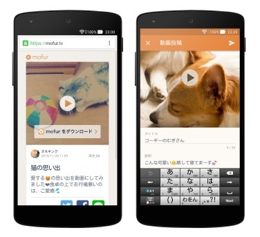 癒しのひと時を 犬と猫に特化した動画アプリ Android版もリリース J Castトレンド