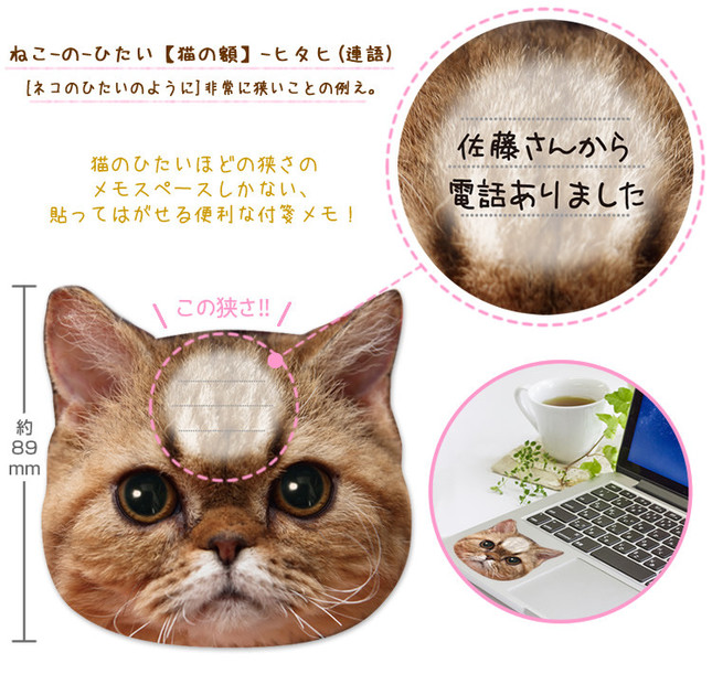 書けるスペースは猫の額ほどしかない